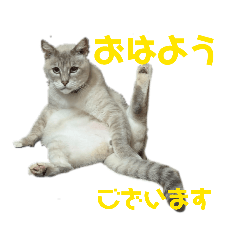 namino_20260206081339