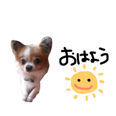 madeleine_20260206080034