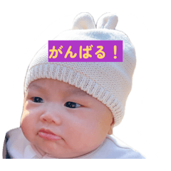 Utaha Voice_20260206081141