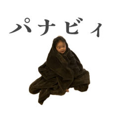 seriseri_20260206080542