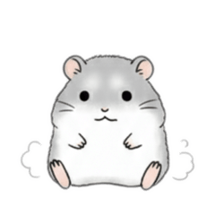 Cute Relaxed Hamster for Everyday Chats