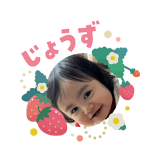 SHINO_20260205235708