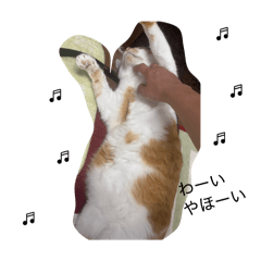 haru7_20260206000759