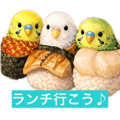 Roland_20260206000102