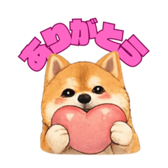 kimikimi_20260206000817