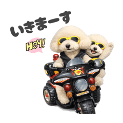 tsukaco_20260206013736