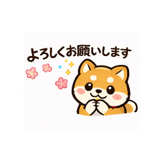 1971Ty_20260206014154