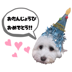 hina:)_20260206020722