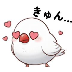 Motiko_20260206015658