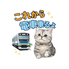 kaori_20260204115043