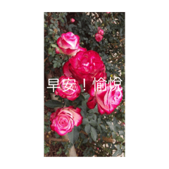 早安！心寬念純