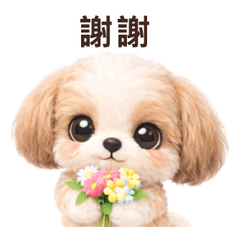 Everyday Words Shih Tzu TC
