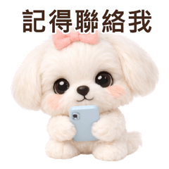 Everyday Words Maltese TC