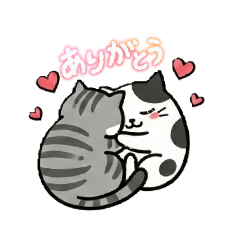 nocco_20260205182733