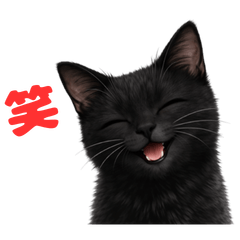 Black Cat Tsukuyomi Alternative Phrases