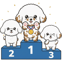 Bichon X Agility Daily Conversation