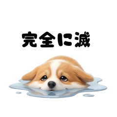 Void & Cute! "Metsu" Fluffy Corgi