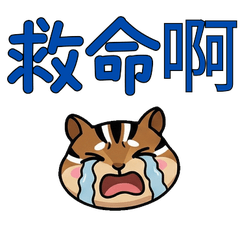 Taiwanese Chipmunk 37