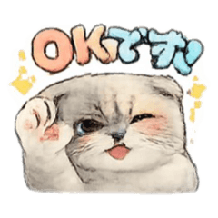 happyhula_20260206081733