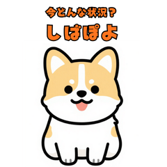 Shibapoyo: What's Going On?