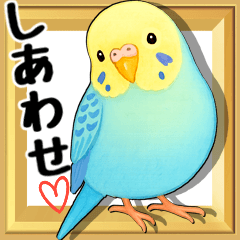 [Budgie/ Parakeet]Pop-up!Happy Moments