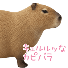 Curul's capybara