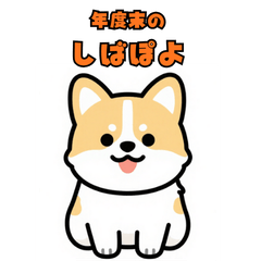 Shibapoyo: Busy Right Now