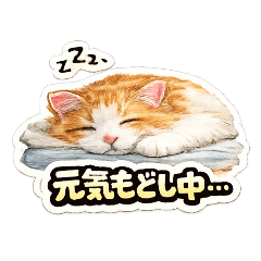 Winking Soichiro | Low-Energy Mood 1