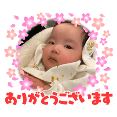 yomiyomi_20260206131153