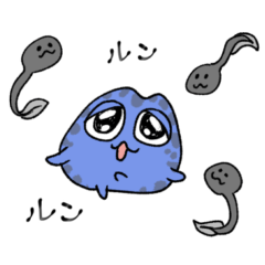 コバルトヤドクガエルのアオちゃん