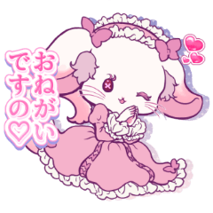 お嬢様チンチラの優雅な日常