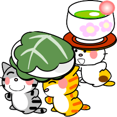 Three cute cats that can be used daily35