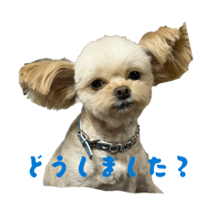 Yukie Yoshinagas family_20260206061959