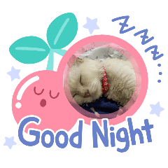 Thanyarat_20260205223243