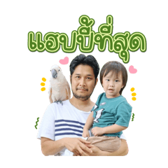เต้าหู้น้อย V4