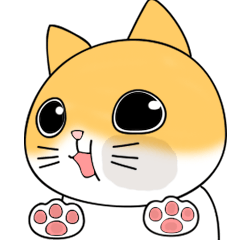貓貓打招呼