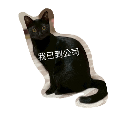 tingtingwang_20260205123619