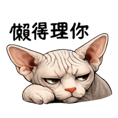 斯芬克斯貓喜怒哀樂