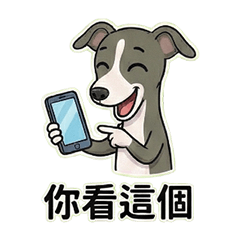 義大利靈緹 .BRUNO 5（超日常實用對話）