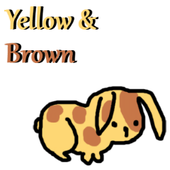 Yellow & Brown Animals Daily Phrases