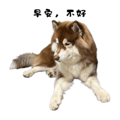 早安，不好