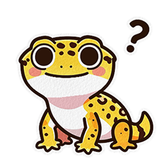 Passion Fruit the Leopard Gecko