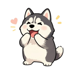 呆萌哈士奇的可愛日常