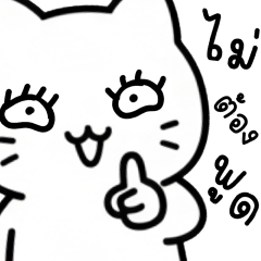 CRAZY CAT CRAZY CAT CRAZY CAT