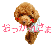 kimugi