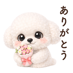 Everyday Words Bichon Frise