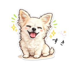 チワワのモカちゃん1