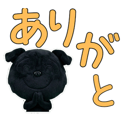 Plush Black Pug  9th