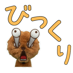 Plush Chow Chow  9th