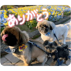 manamin_20260206110956